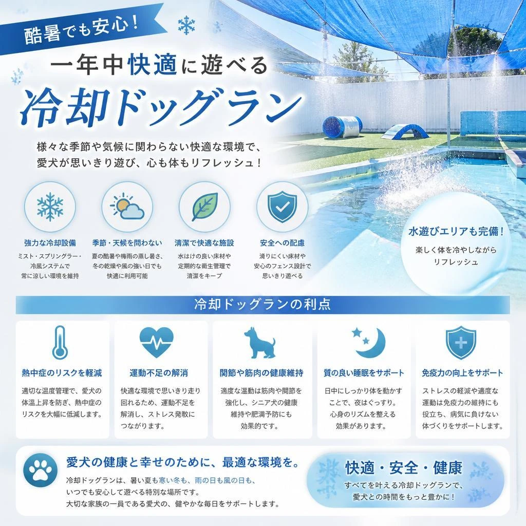 冷却ドッグランの魅力