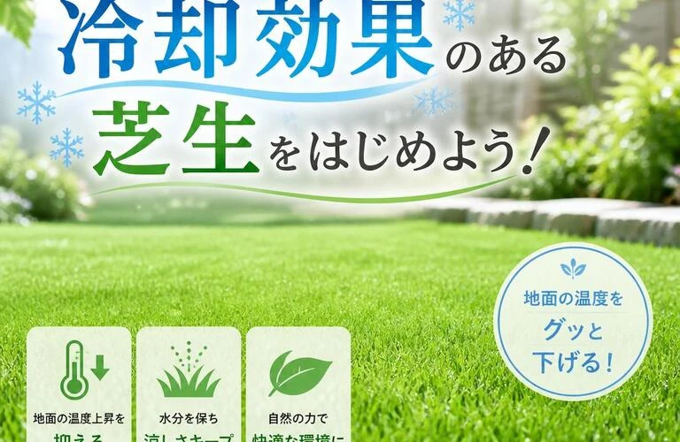 夏場でも安心！冷却効果のある芝生をはじめよう！| 広島県呉市の人工芝施工は総果工業株式会社