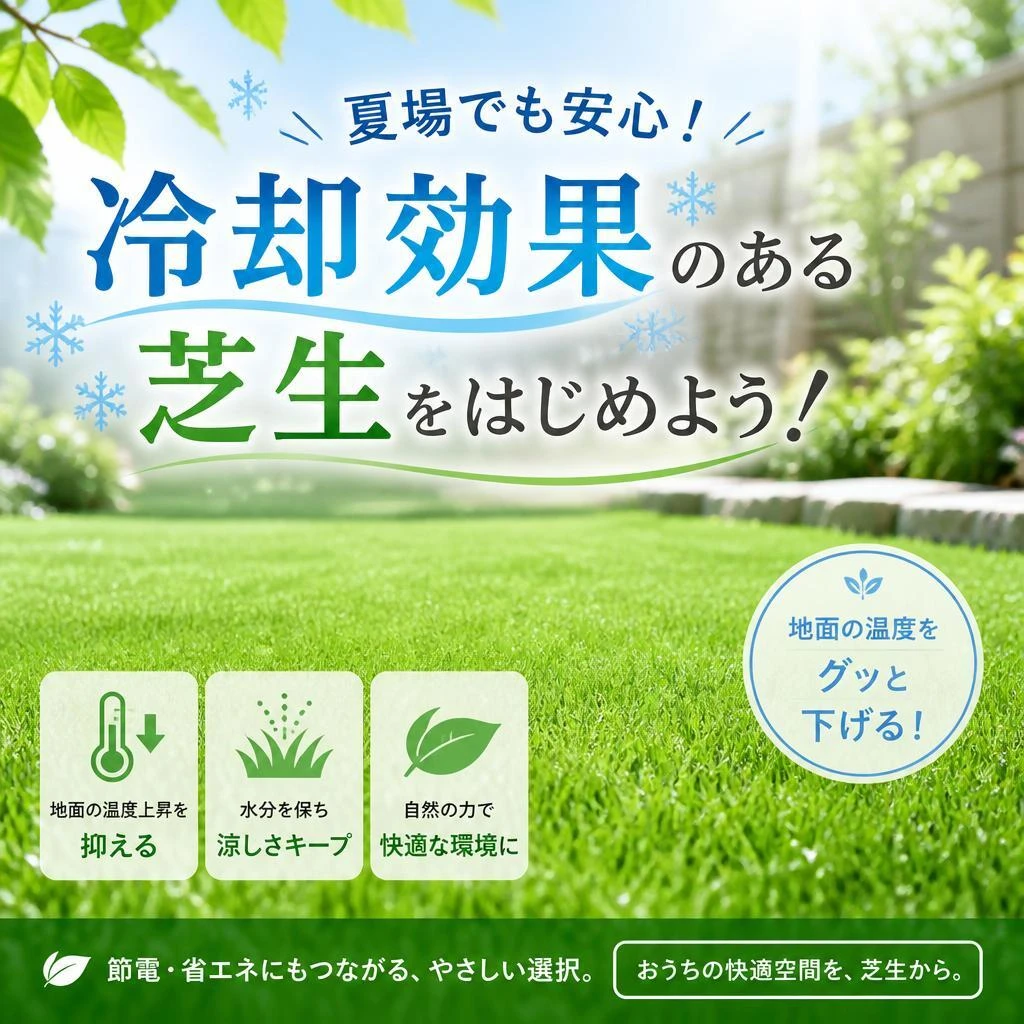 夏場でも安心！冷却効果のある芝生をはじめよう！